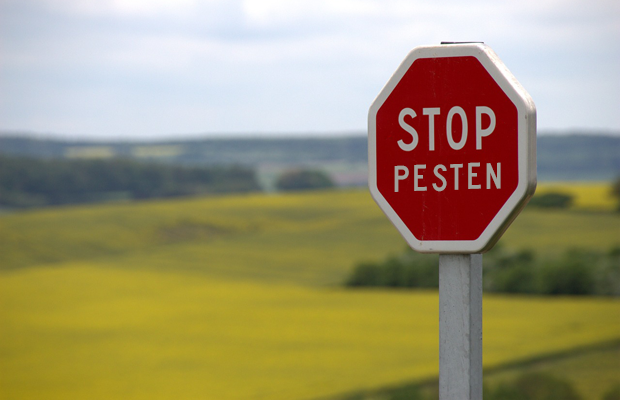 Online portaal over sociale veiligheid op komst